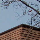 Traditional Terracotta Shingles Mitred