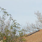 Traditional Terracotta Shingles Mitred